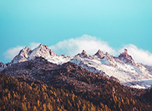 开云体育入口-百感交集的重逢之夜 辽篮用全力以赴致敬郭士强